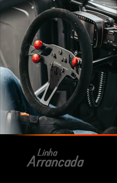 Volantes Automobilismo